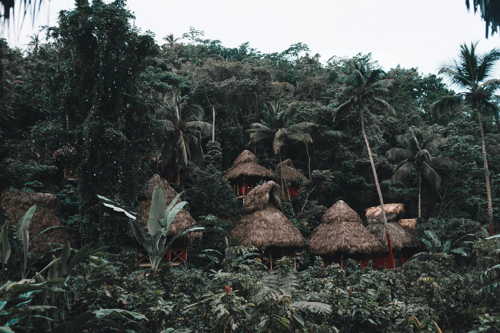 pexels-alexazabache-3215001